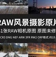 成人一区二区三区-成人教育的多元化探索，一区、二区、三区的融合与成长